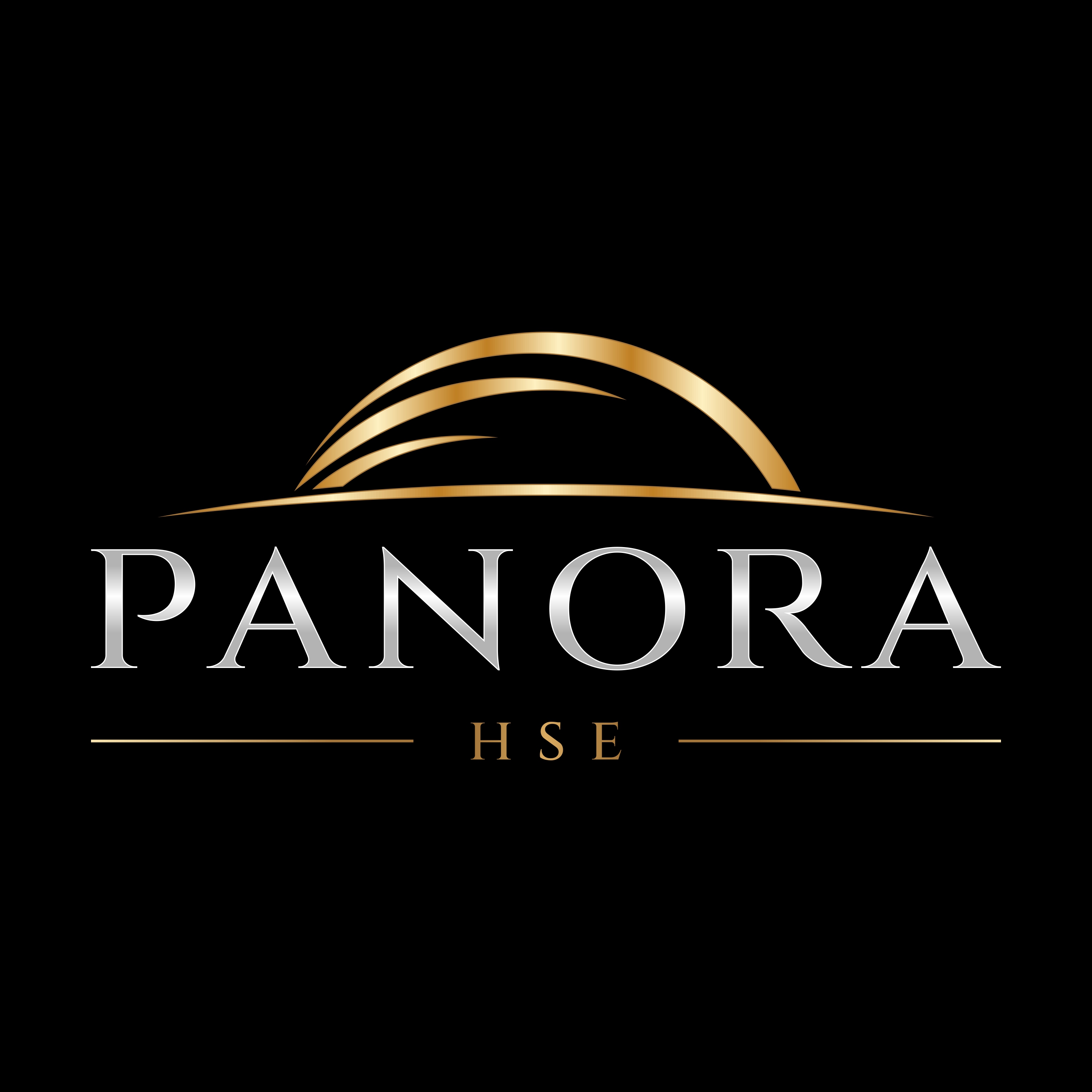 Panora HSE
